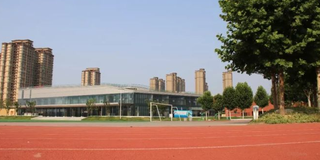 郑信羽篮乒球馆