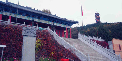 神龙禅寺