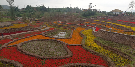 铜梁忘山公园