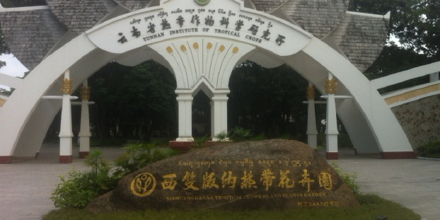 云南省拉热带作物科学研究所