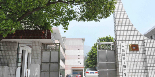 浙江省温州市永嘉县桥下镇第一中学(上桥线南)