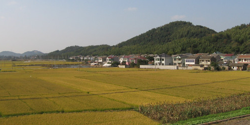 石子领生态植物园