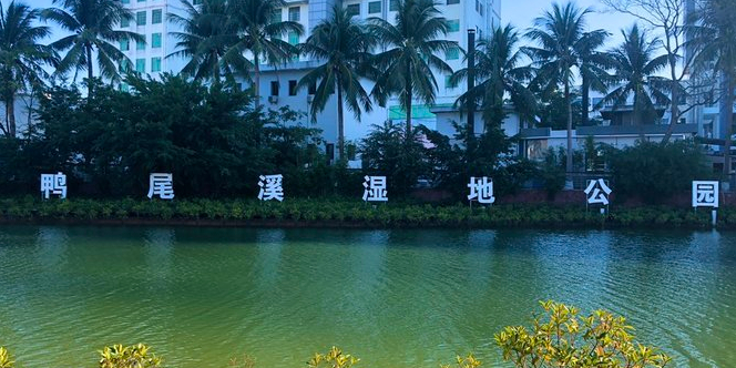 海口鸭尾溪湿地生态公园