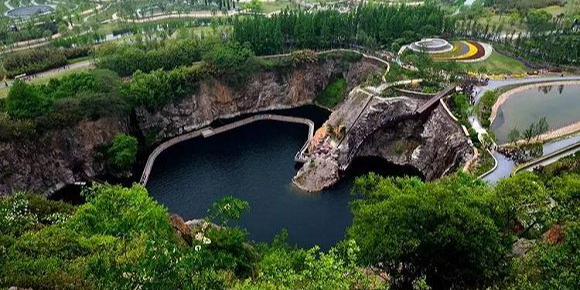 阿海水电站珍稀植物园