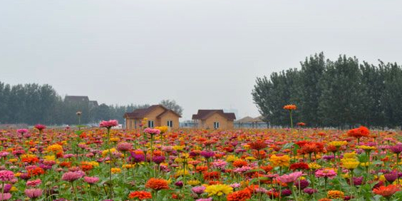 北运河百花谷园