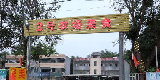 三号农场美食