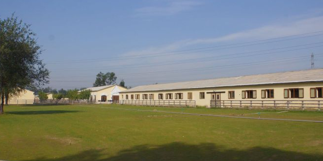纵横马术培训基地(顺义旗舰店)