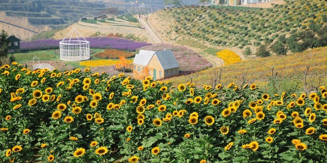 山西省太原市杏花岭区河里头村