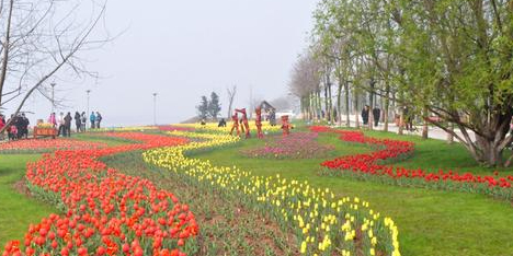 荆州市松滋市