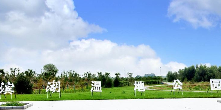 滨湖湿地公园