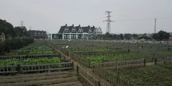 雨菡家庭农场