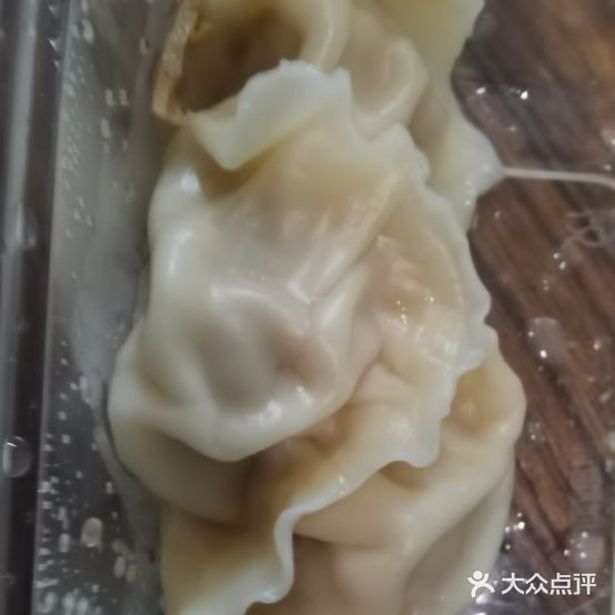 东北饺子馆(博鳌店)