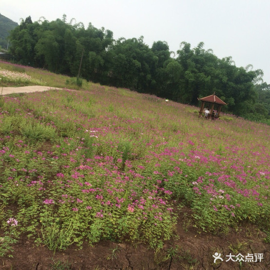 众里寻她千百度三自助烤肉(广安店)