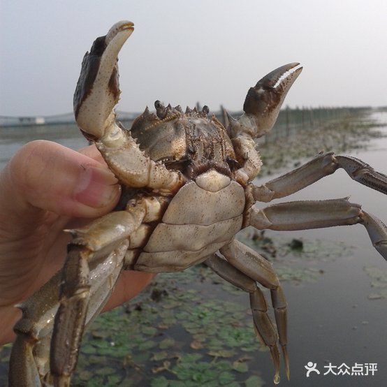 邻湖农家蟹庄