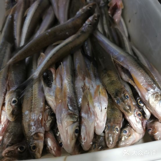 新滨江水中餐饮