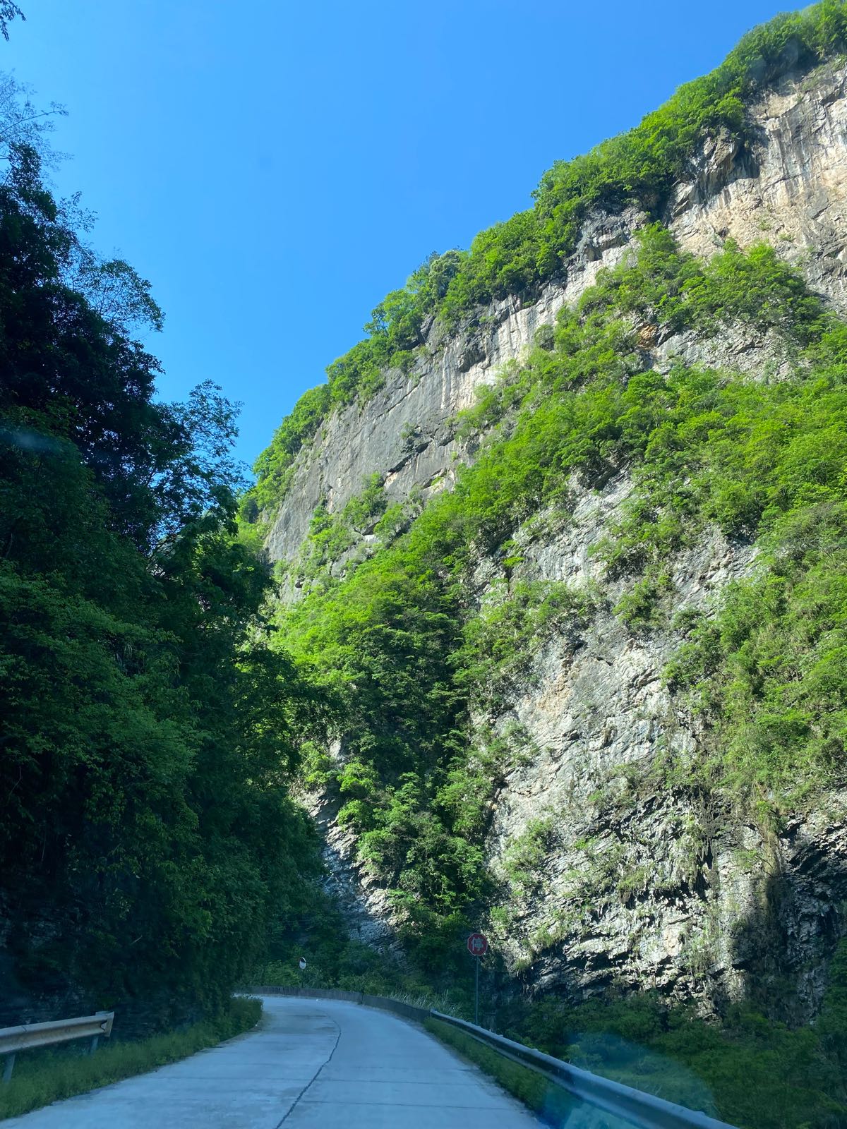 慈利县政务服务中心