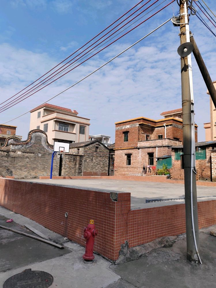 广东省佛山市南海区丹灶镇荷村下何村五巷篮球场