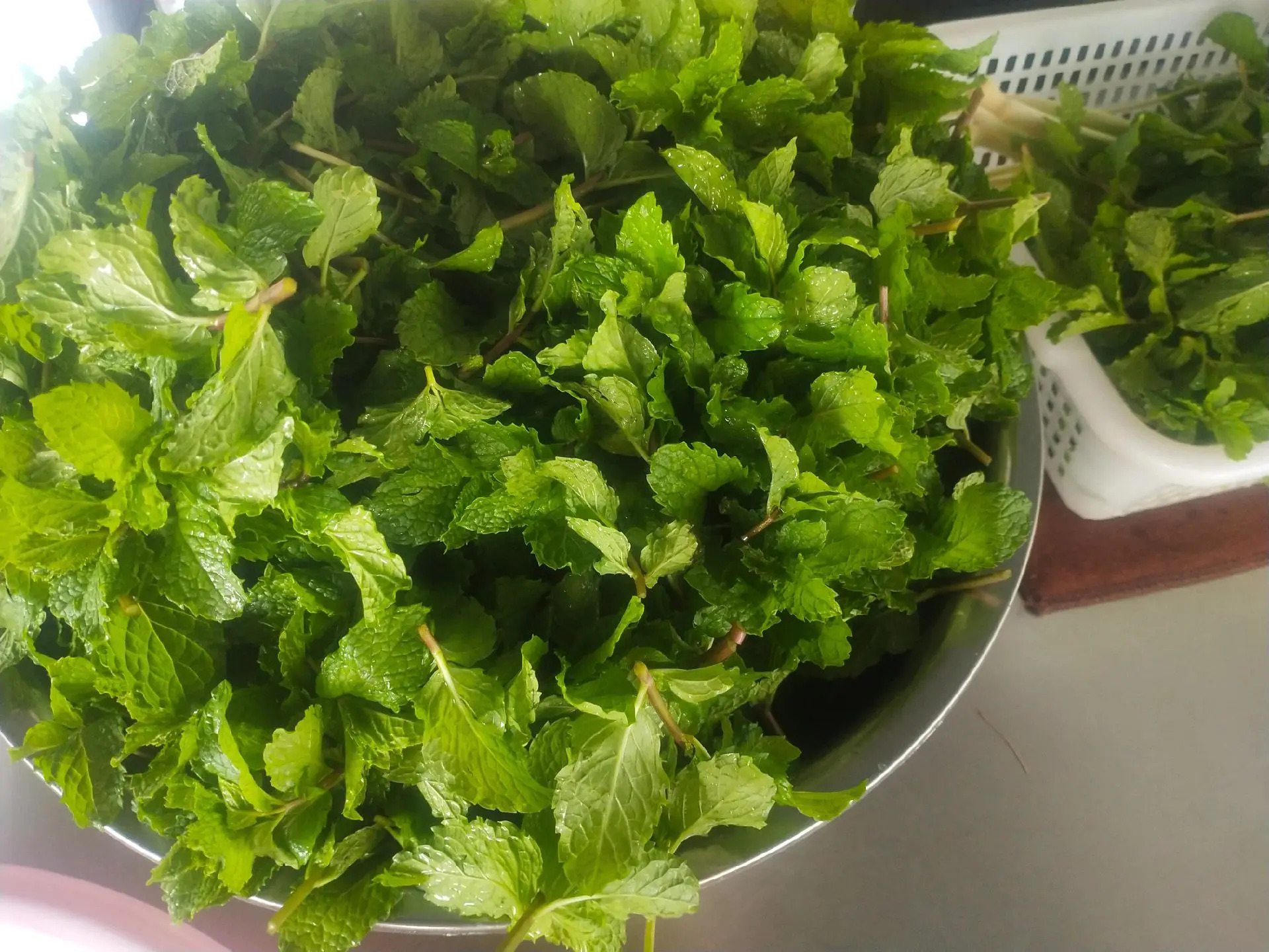 龙广镇人民政府