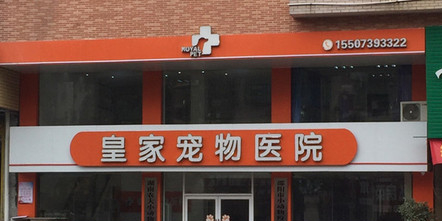 皇家宠物诊所(敏州西路店)