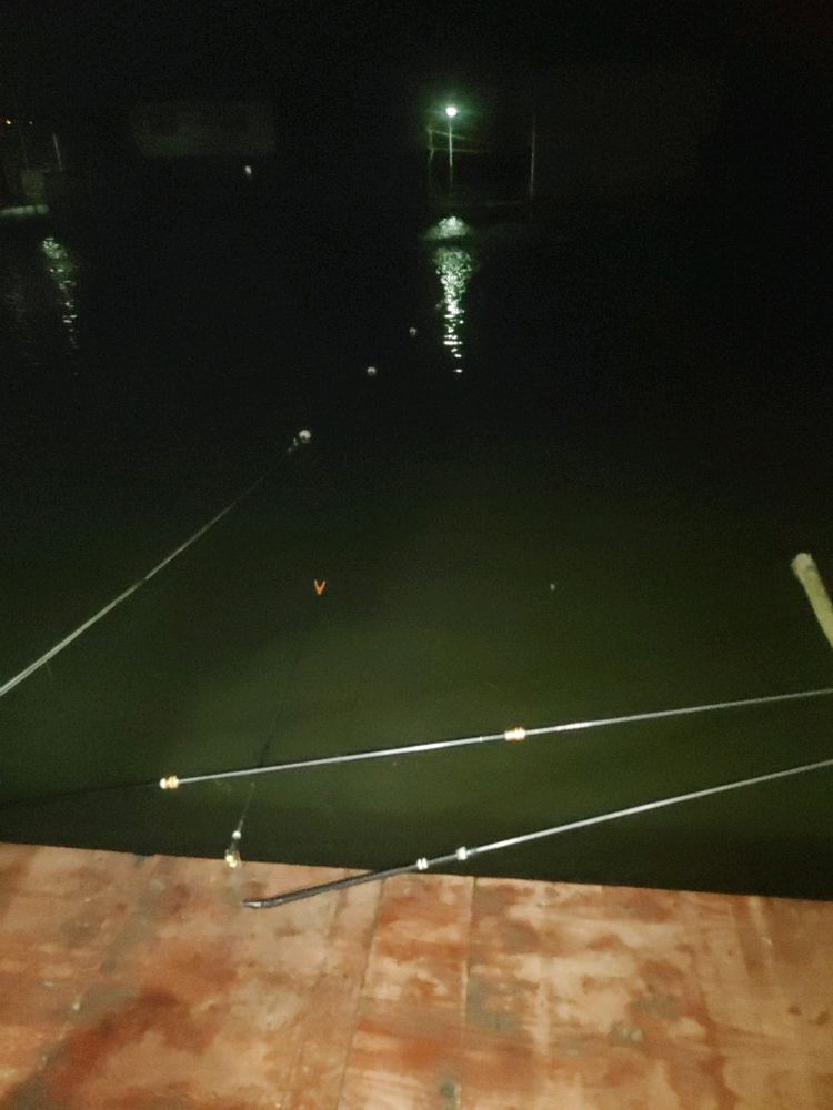 罗家大坝垂钓场