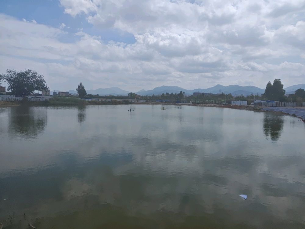 高品质鱼(钓场)