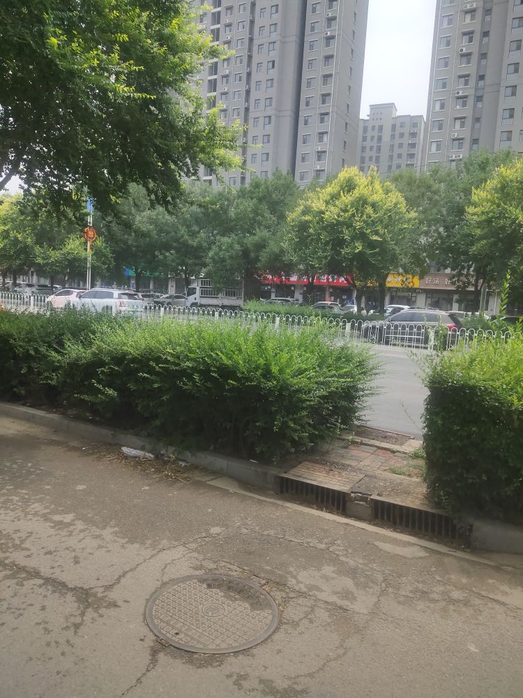 赵飙牛肋条自助烤肉(晋州向阳绿洲店)