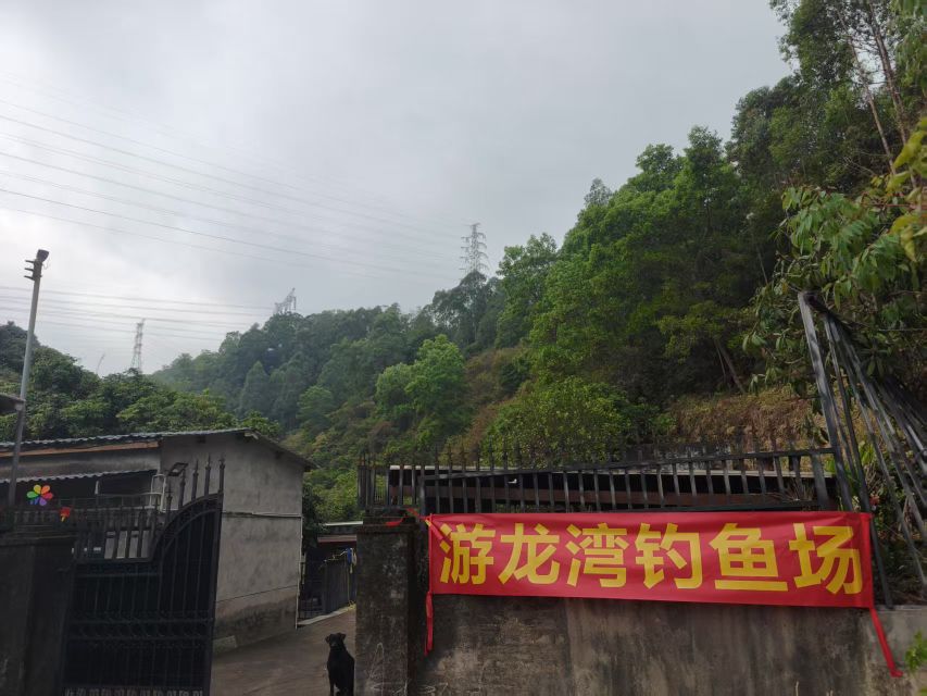 游龙湾钓鱼场