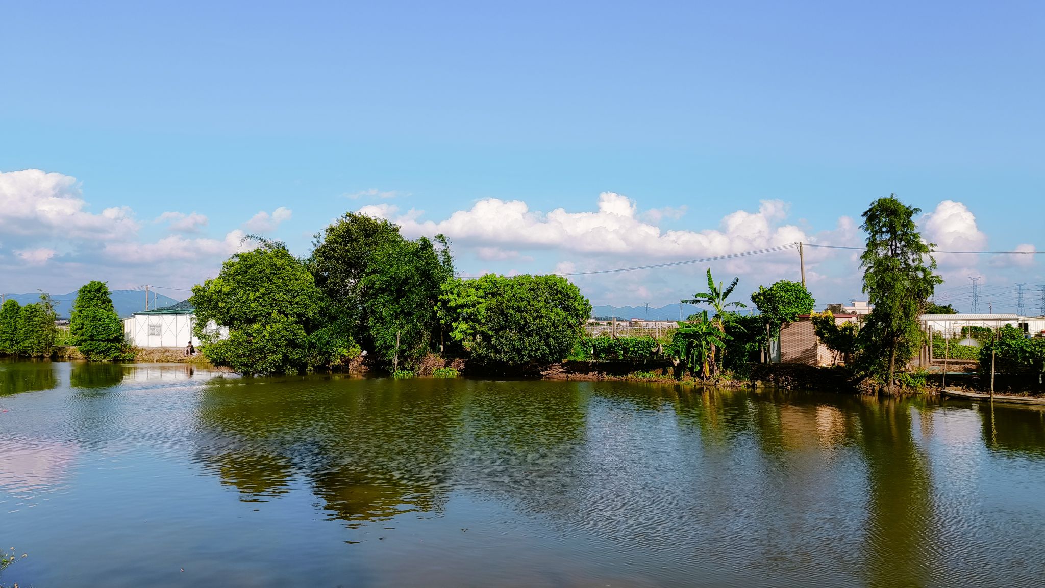 板芙寿围十蚊钓鱼