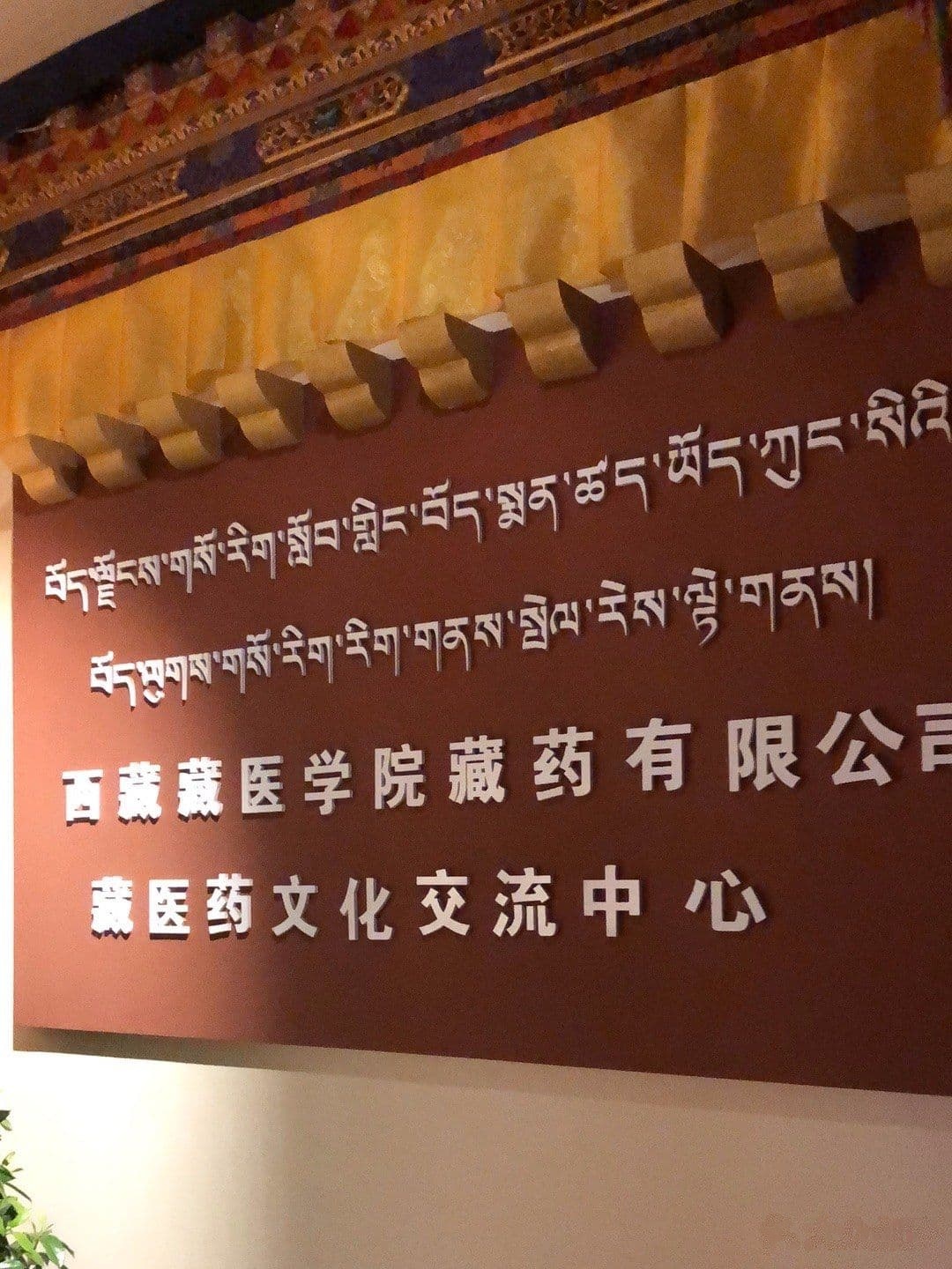 宗喀藏医药文化展示厅(拉萨海外贸易免税商场店)