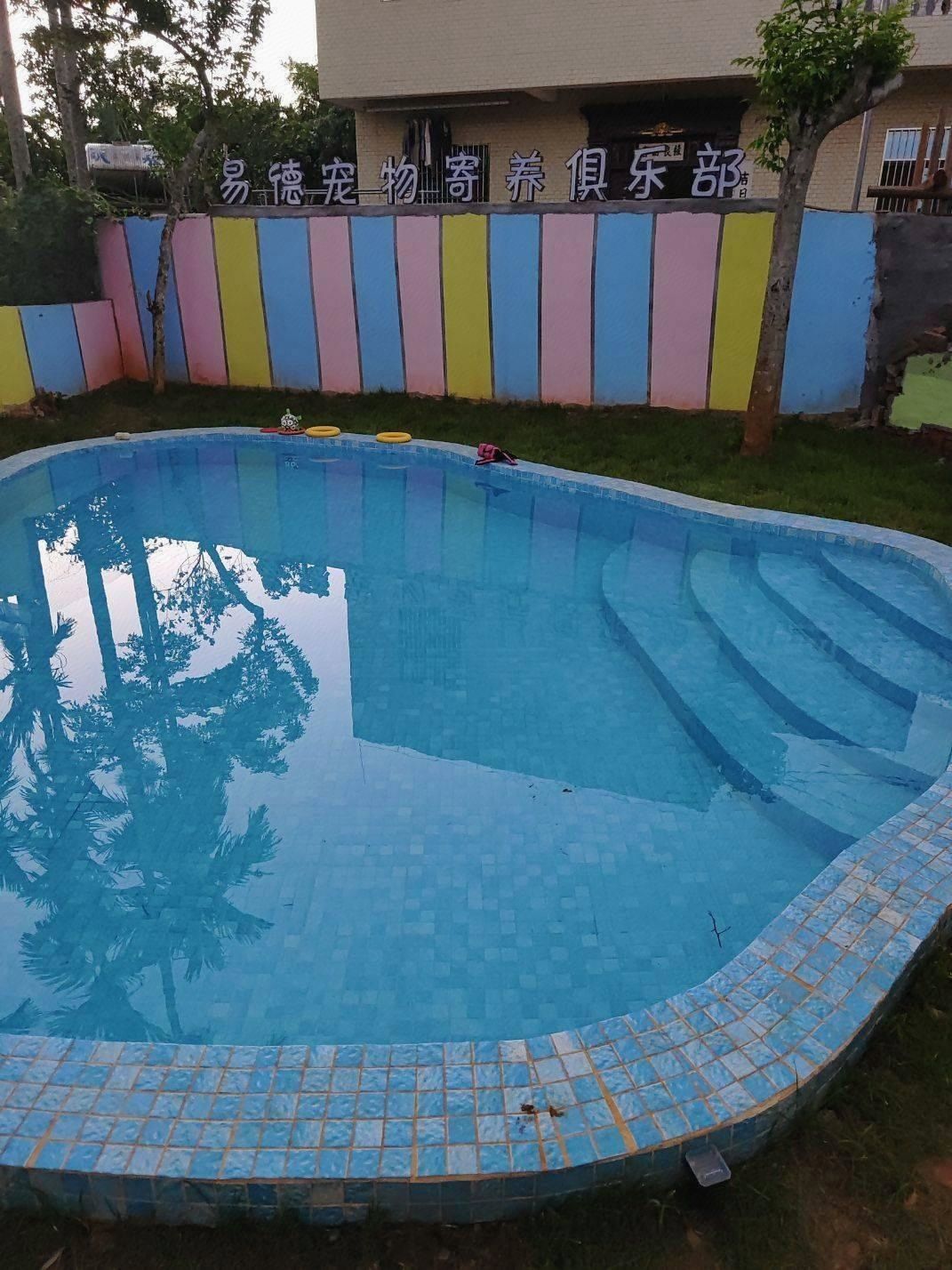 易德宠物寄养俱乐部