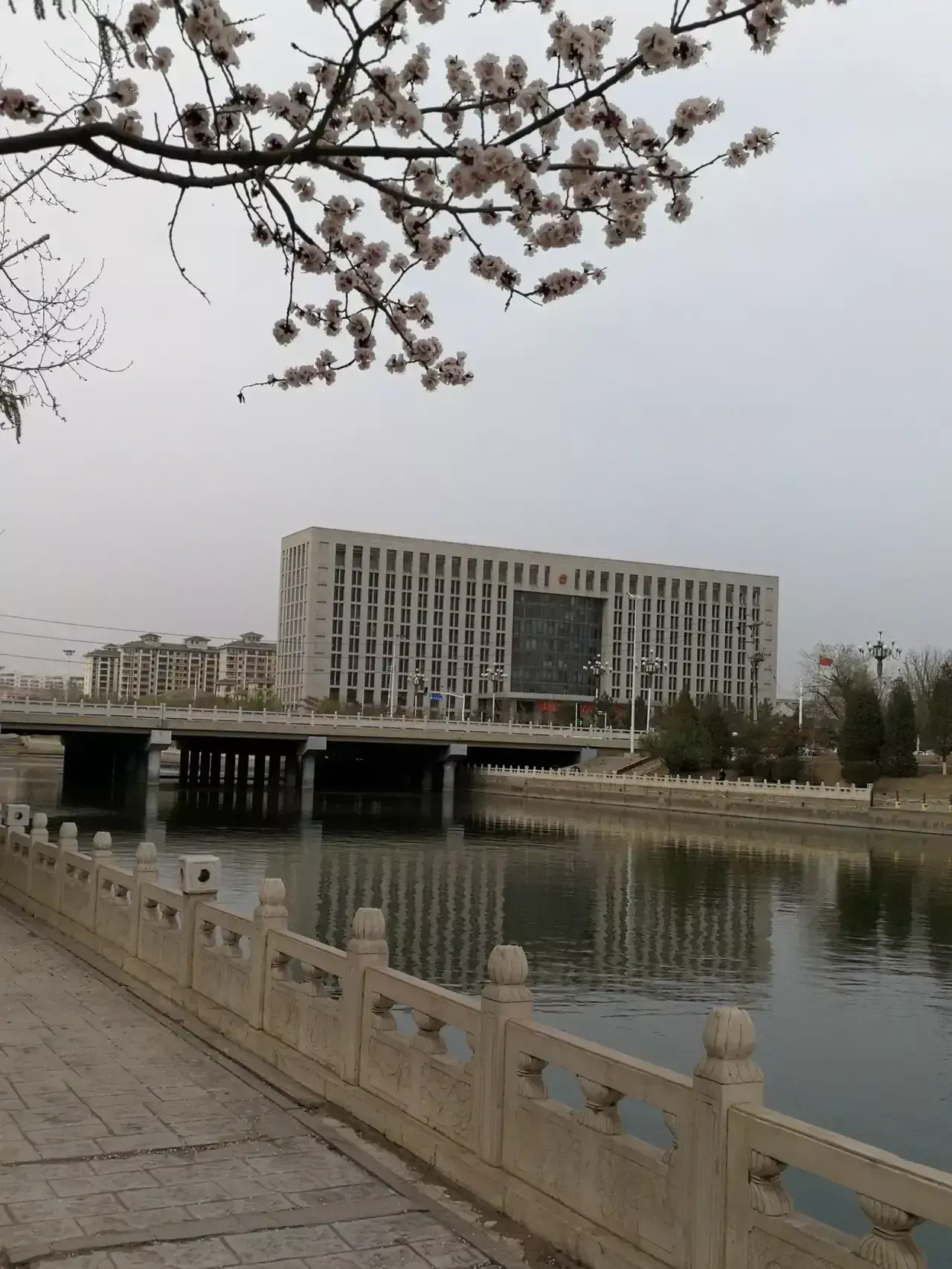 东河区人民政府