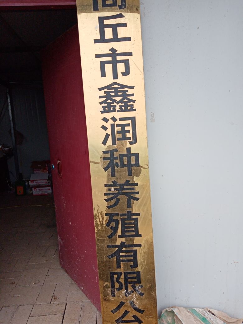河南省商丘市虞城县芒种桥乡孙菜园村