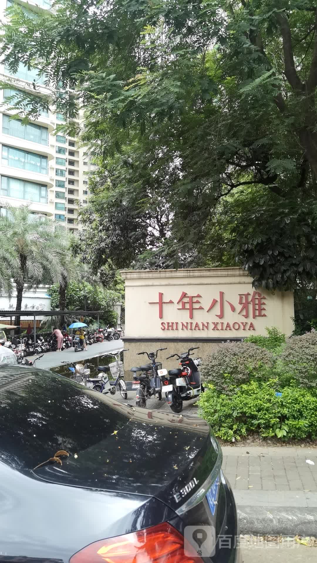 广州番禺小雅茶叶商行