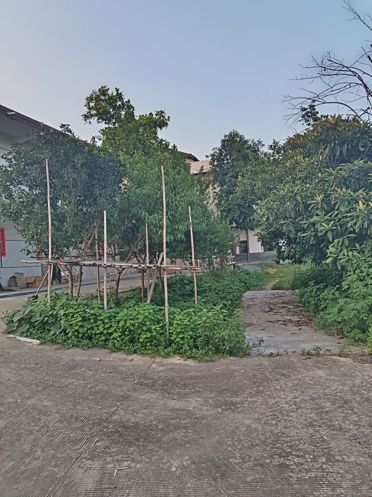 易市村长春组龙沙湾屋