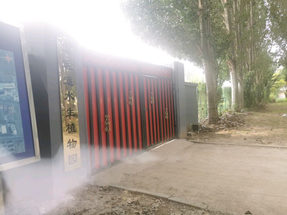 运运通水生植物园
