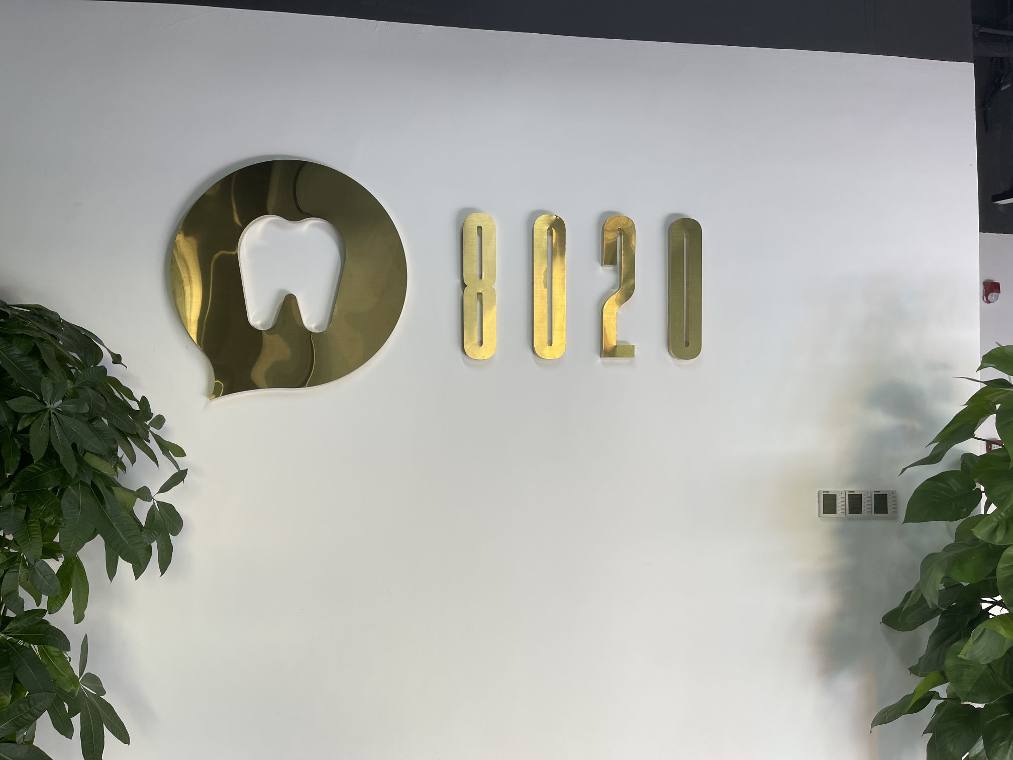 深圳市八零二零科技有限公司