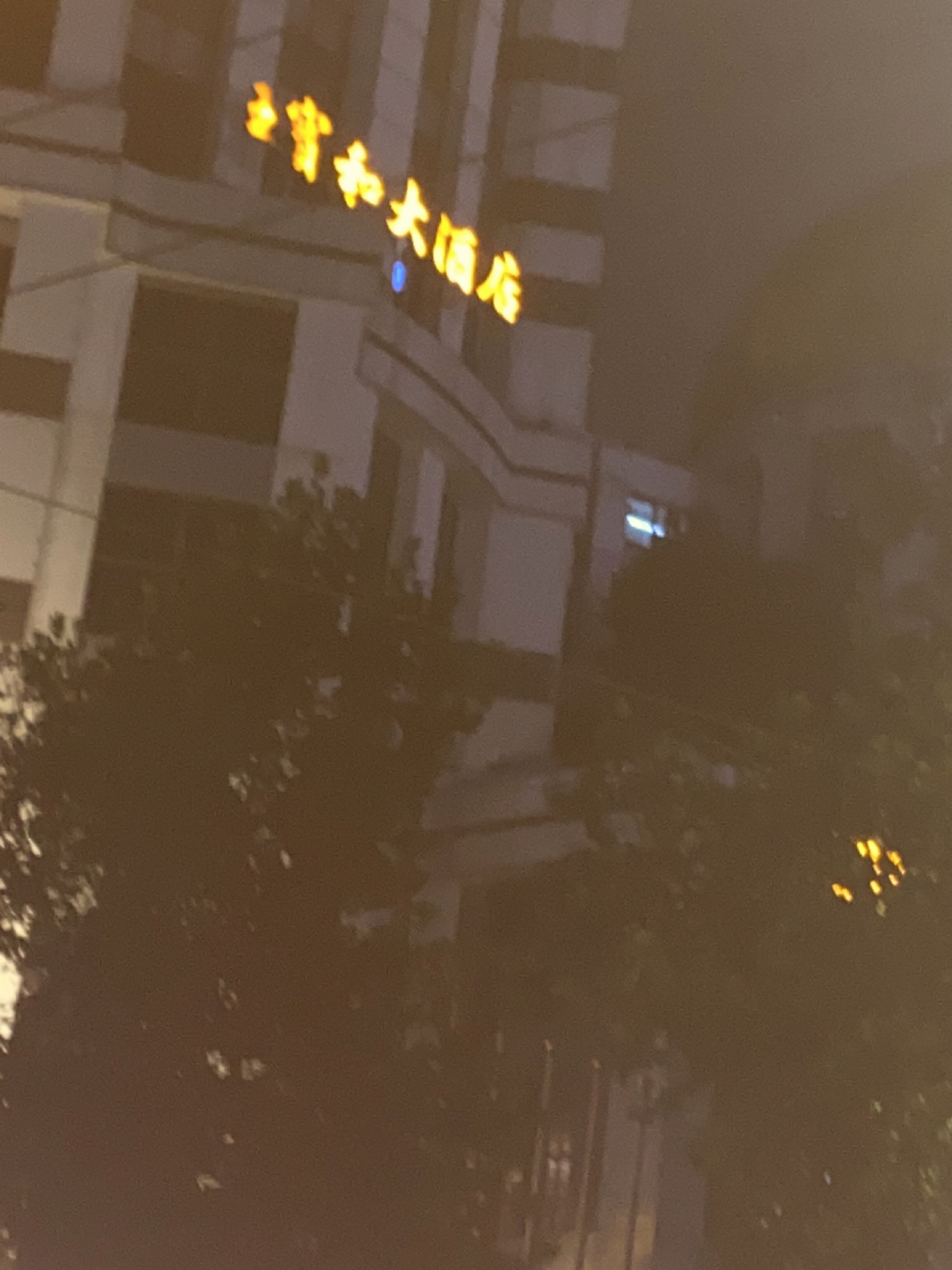 王宝和大酒店-乒乓室