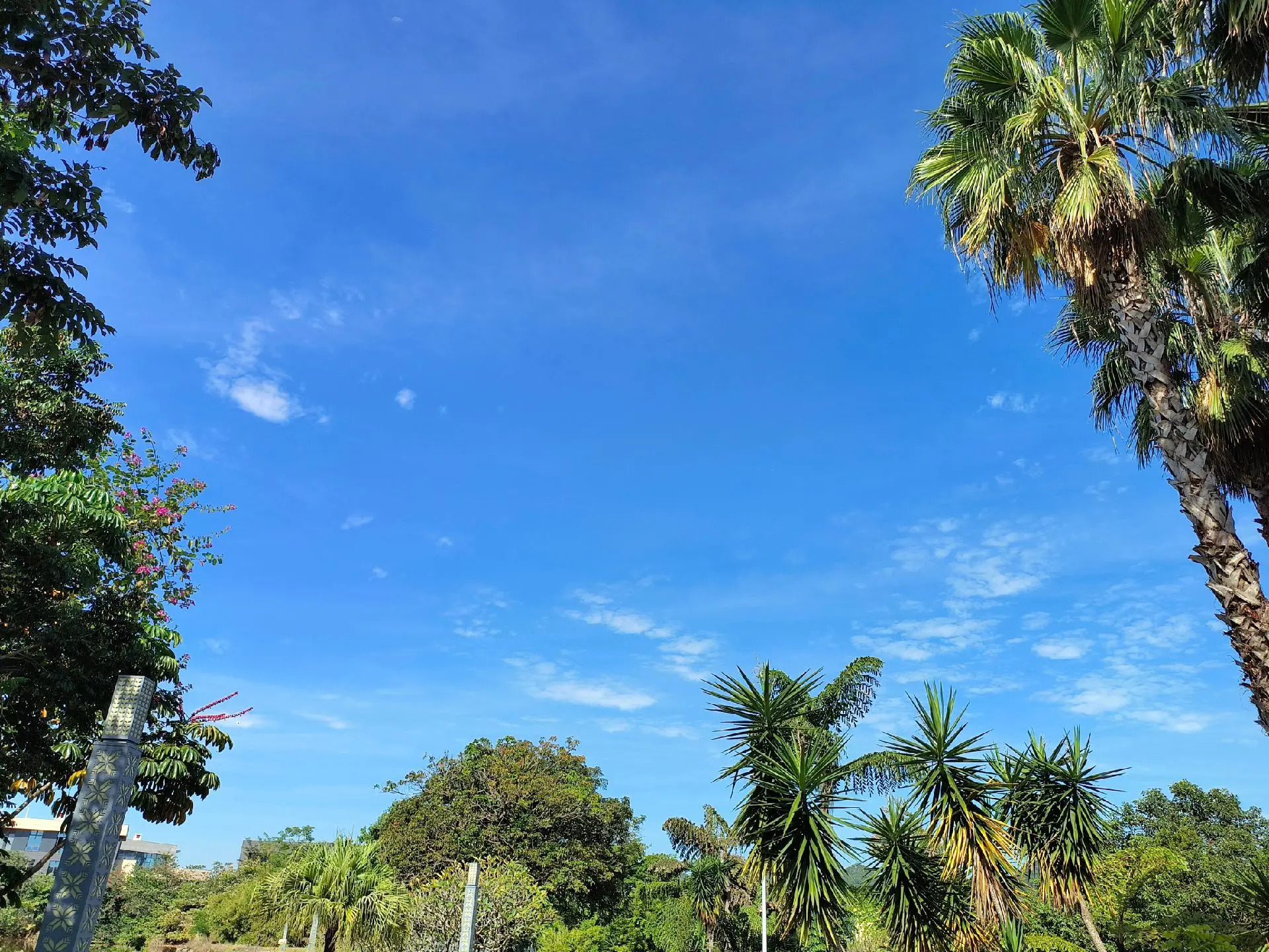 崇左市人民政府-北门