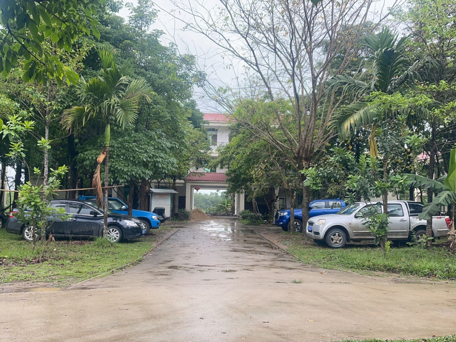 海南大观沉香产业发展有限公司(琼中基地)