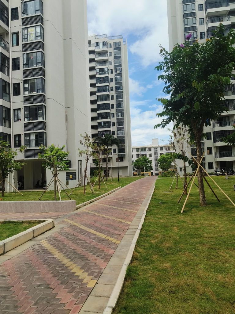 陵水老县委安居房小区