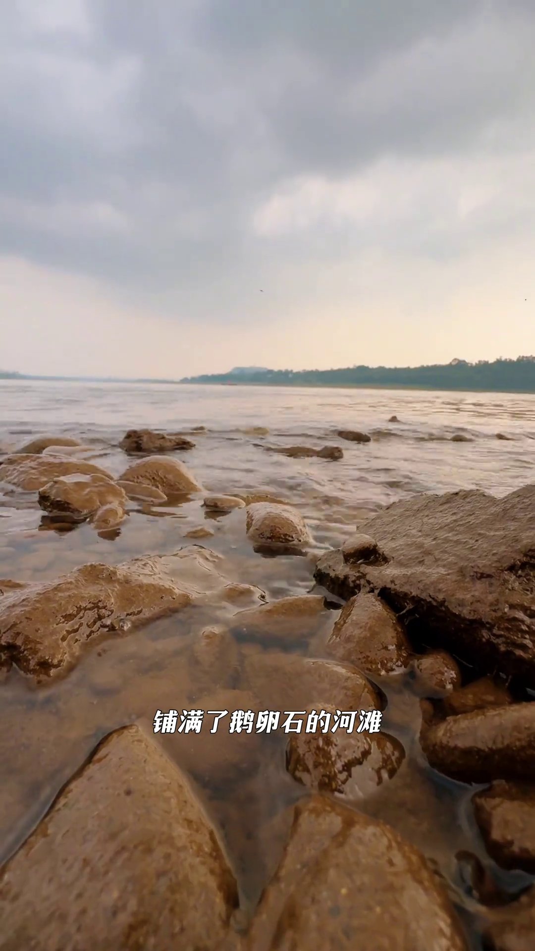南溪东门生态公园