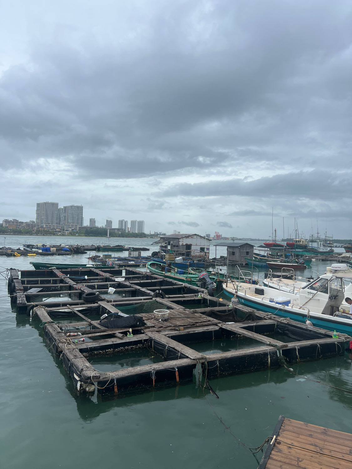 椰林海上渔排钓鱼