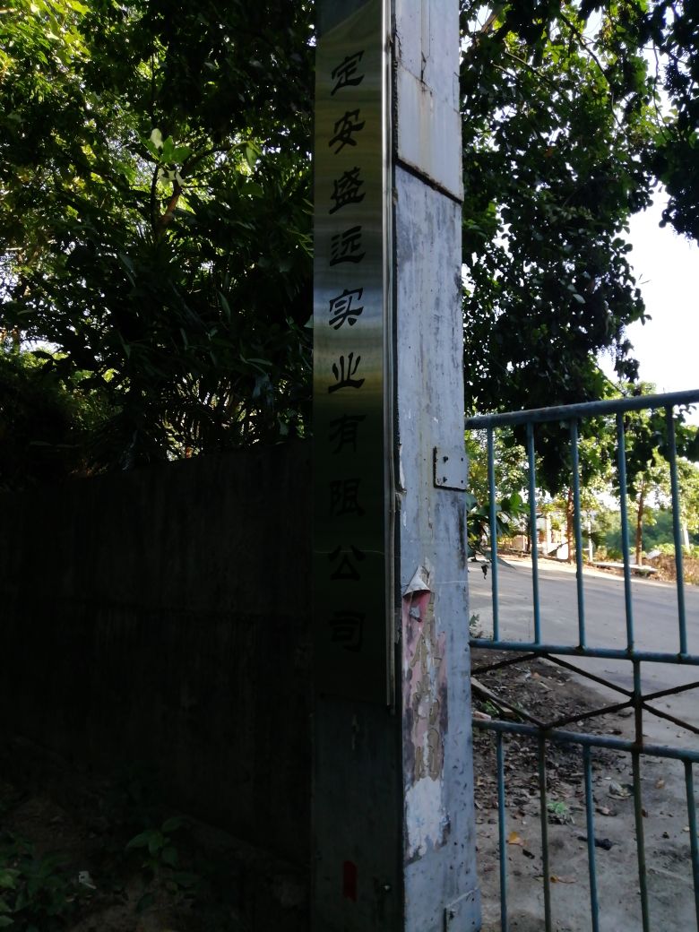 定安盛远实业有限公司