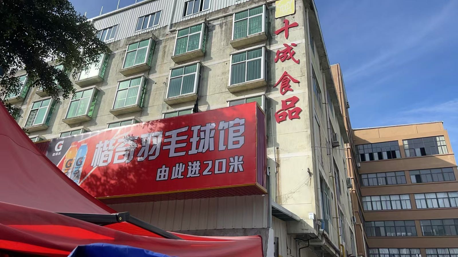 楷奇羽毛球馆
