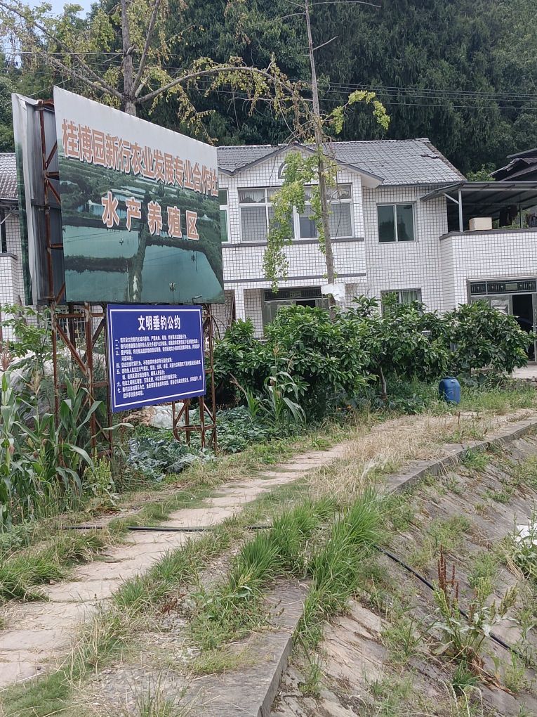 巴中西华山桂博园钓场