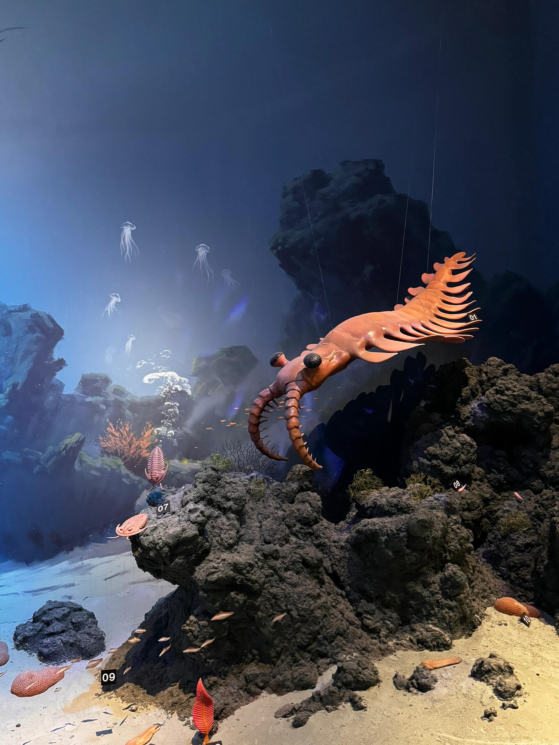 顺德自然科学馆