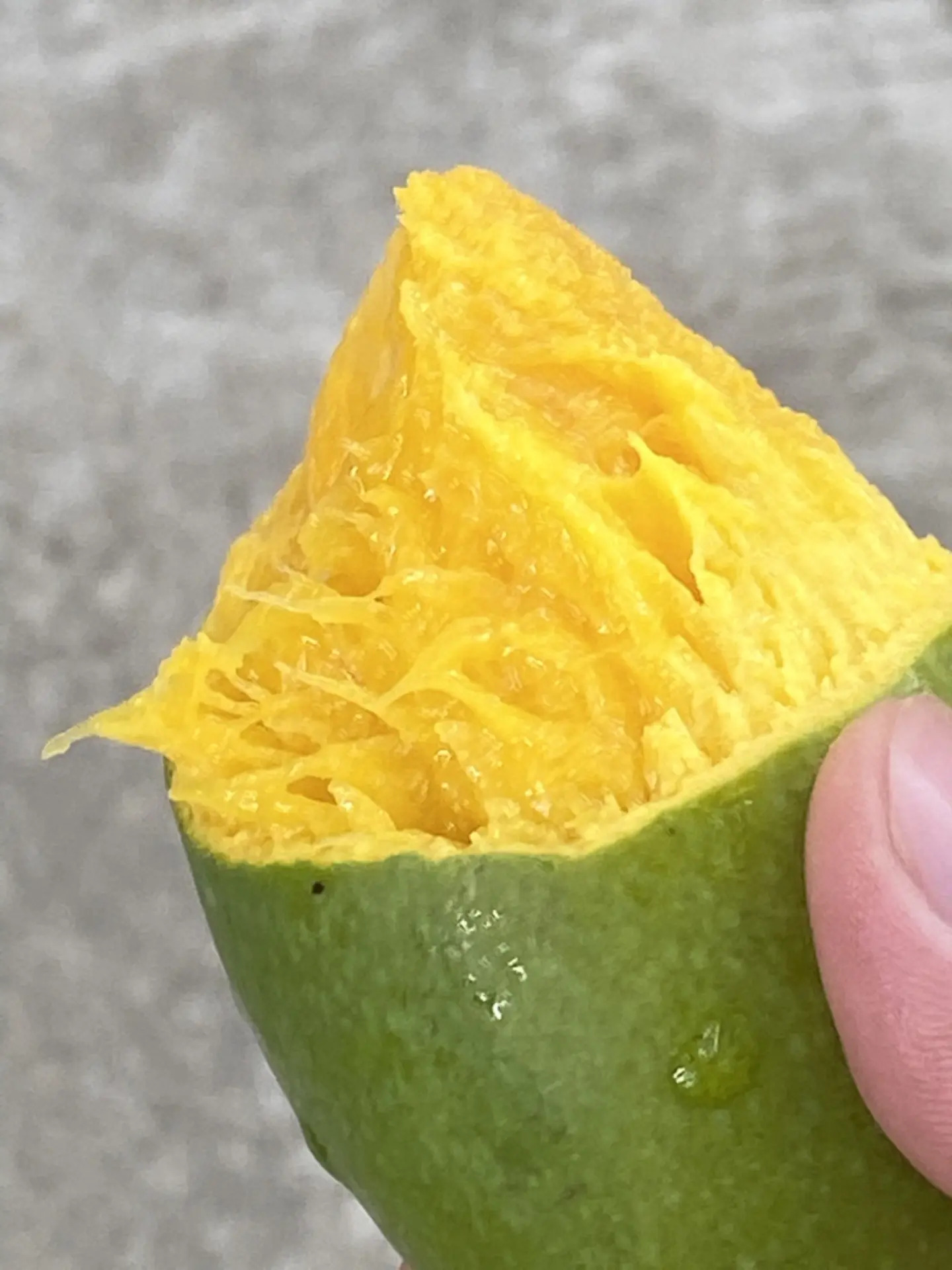 乐东黎族自治县人民法院黄流人民法庭