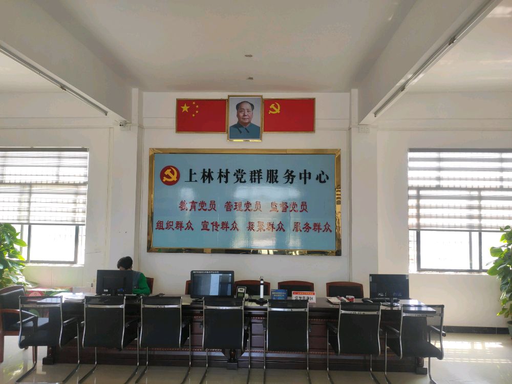 广东省汕尾市陆丰市碣石镇上林村