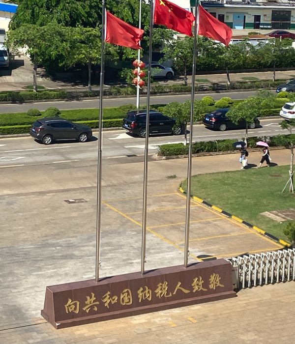 国家税务总局洋浦经济开发区税务局