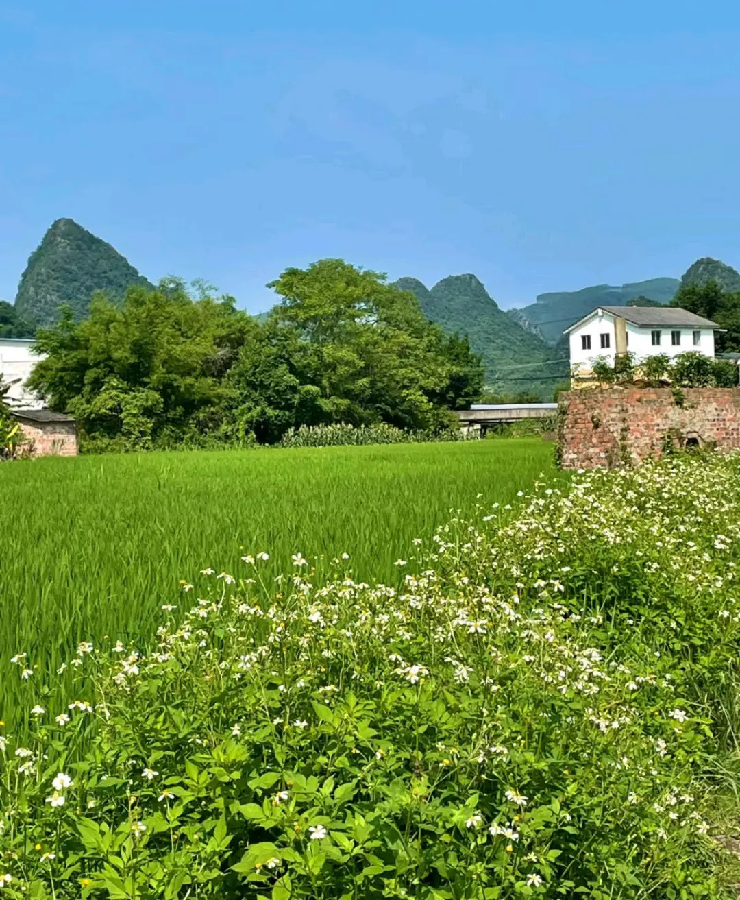 崇左市城市规划建设展示馆